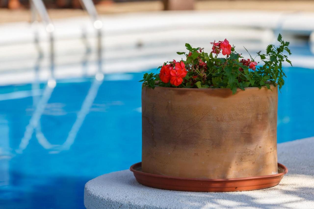 Apartament Casa Duende En De Con Piscina Níjar